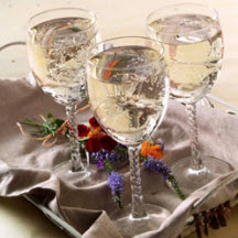 White Cranberry Wine Spritzer