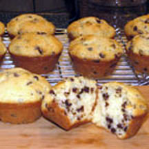 Sour Cream Chocolate Chip Muffins