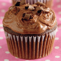 Double Chocolate Cocoa Cupcakes