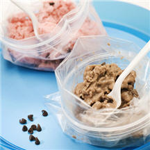 Backyard Fun Chocolate Chip Ice Cream