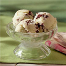 Mint Chocolate Chip Ice Cream