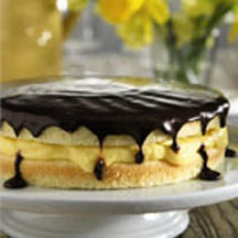 Boston Cream Pie