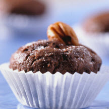 Double Chocolate Fudgies