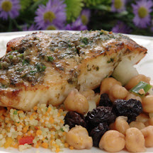 Grouper Mediterranean