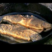 Pan Fried Whole Trout