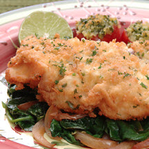 View recipe for Southern Fried Florida Grouper. Southern Fried Florida Grouper