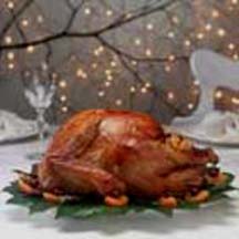 Roast Turkey with Cranberry-Apricot Stuffing