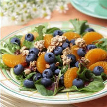 Blueberry Breakfast Salad