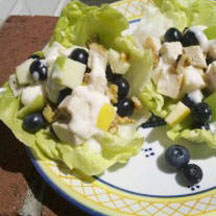 Blueberry Chicken Salad Tacos