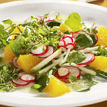 Chilean Navel Orange and Radish Salad
