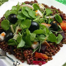 Smoked Turkey, Ripe Olive and Lentil Salad