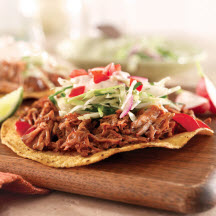Pork Tostado with Plum Sauce
