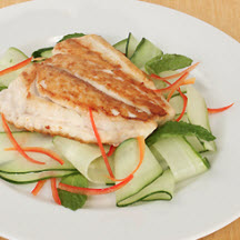 Pan-Roasted Florida Snapper with Minted Cucumber Ribbons