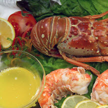 Steamed Lobster