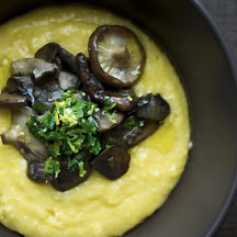 Mushroom Rago&ucirc;t served with Taleggio Polenta and Gremolata