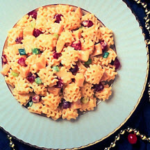 Radiatore with Pumpkin Sauce, Turkey and Cranberries
