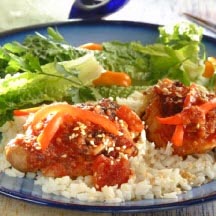 Sweet and Zesty Chicken Molé